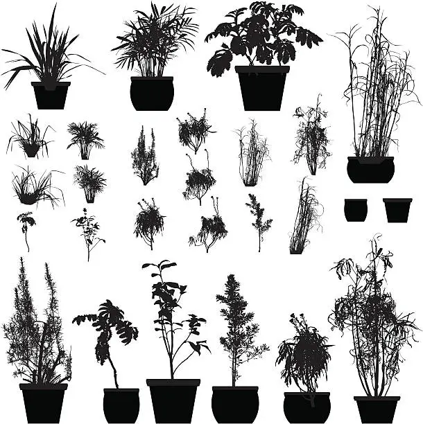 Vector illustration of Plant silhouette collection