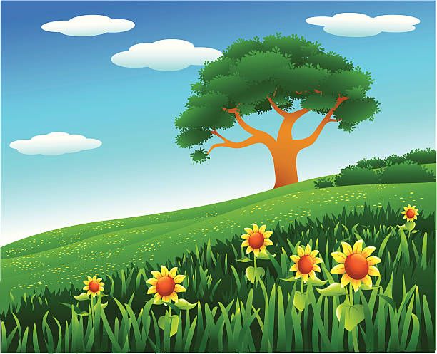 illustrations, cliparts, dessins animés et icônes de flanc de colline - sunflower field single flower flower
