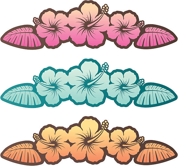 Three different hibiscus designs vector art illustration