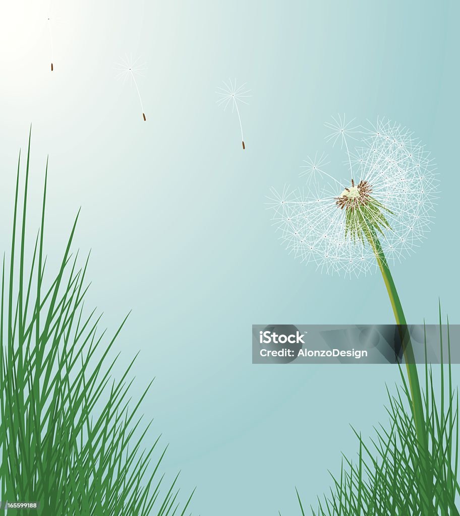 Dandelion and Wind Dandelion stock vector