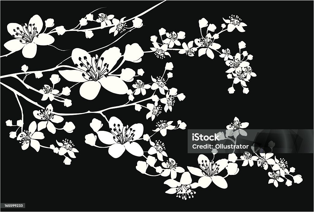 Delicate Silhouette of blooming branch Delicate silhouette of a blooming branch. Cherry Blossom stock vector
