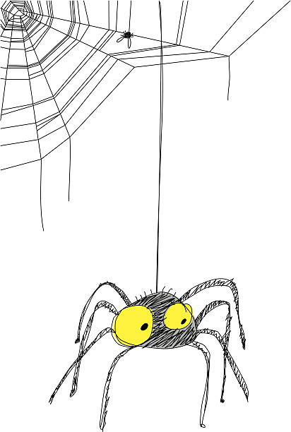 Black Spider hanging from web Black hairy spider hanging from web with fly. Great for Halloween. spinning web stock illustrations