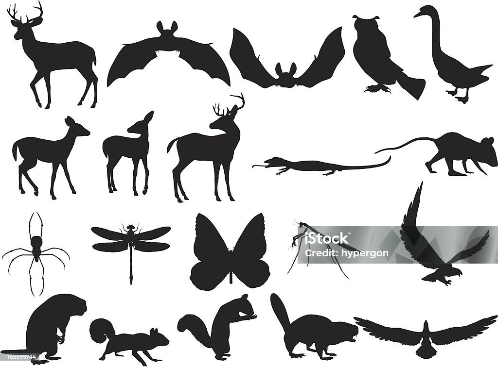 Woodland Tiere Silhouetten - Lizenzfrei Adler Vektorgrafik