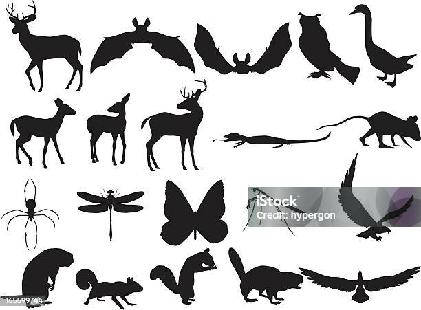 Woodland 피조물의 실루엣 독수리에 대한 스톡 벡터 아트 및 기타 이미지 - 독수리, 검은색, 다람쥐