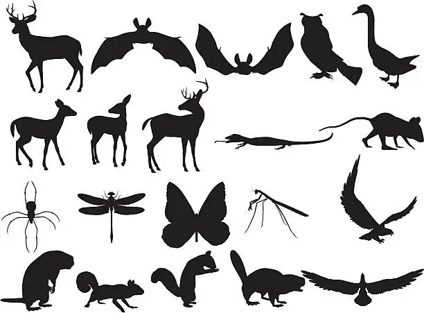 Vector illustration of Woodland Creatures Silhouettes