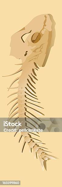 Ilustración de Pez Los Huesos y más Vectores Libres de Derechos de Esqueleto de animal - Esqueleto de animal, Pez, Animal
