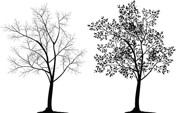 Vector illustration of Two tree silhouettes in black on white background