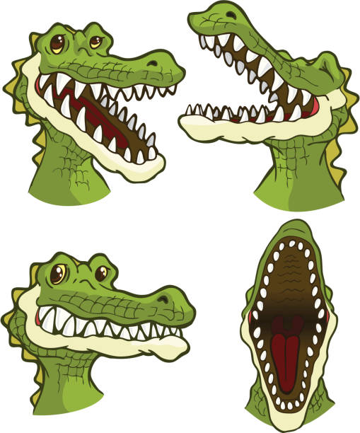 Croc Smiles Stock Illustration - Download Image Now - Crocodile, Animal Teeth, Mouth Open - iStock Croc Smiles Stock Illustration - Download Image Now - Crocodile, Animal Teeth, Mouth Open - iStock