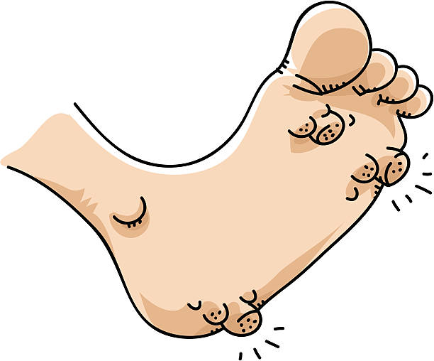 60+ Plantaire Wrat Illustraties, royalty-free vector illustraties en ...