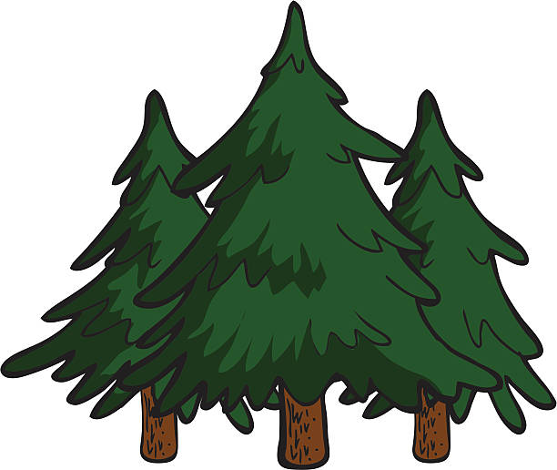 Pine Trees Stock Illustration - Download Image Now - Pine Tree, Cartoon,  Forest - iStock