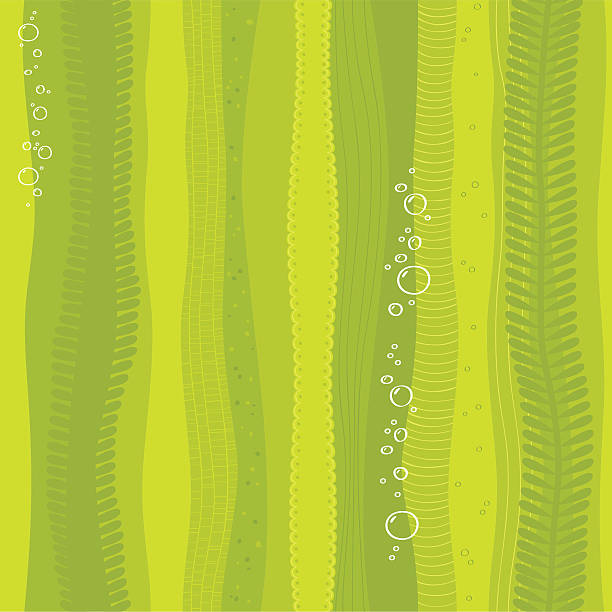 бесшовный фон с помощью водорослей - seaweed seamless striped backgrounds stock illustrations