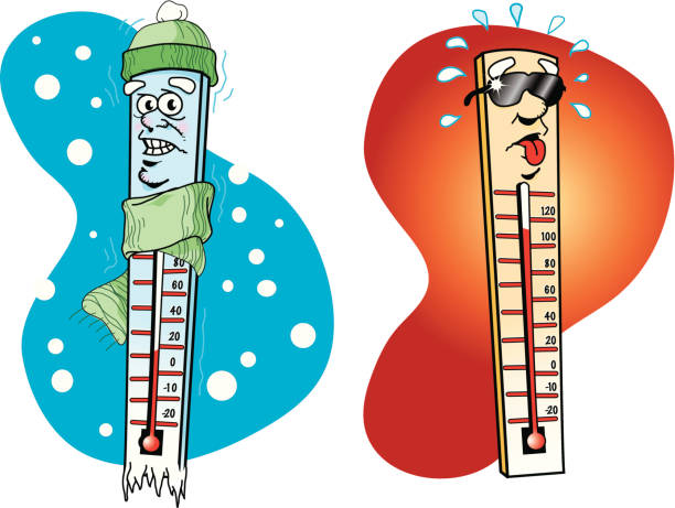 Hot & Cold Vector Illustration of Thermometers showing Hot & Cold extremes cartoon thermometer stock illustrations