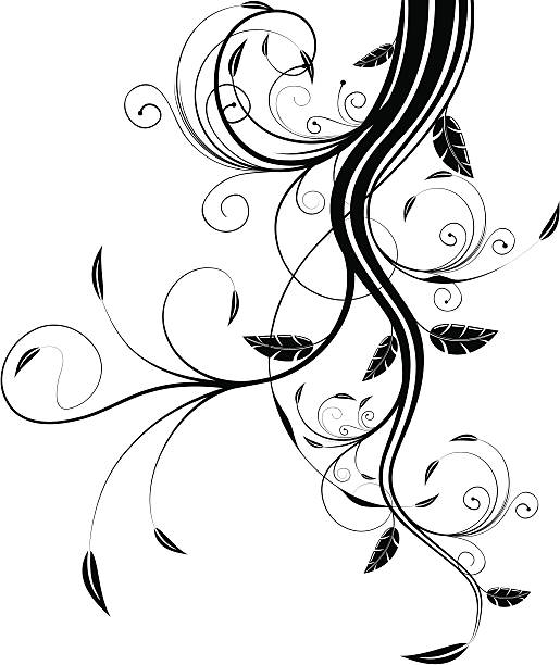 illustrazioni stock, clip art, cartoni animati e icone di tendenza di floreale a scorrimento - backgrounds watermark floral pattern scroll shape