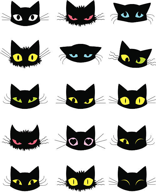ilustrações de stock, clip art, desenhos animados e ícones de ícones de gato - anger feline animal black