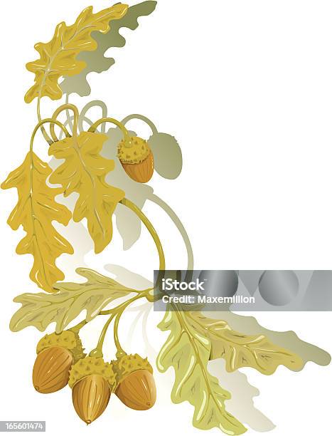 참나무 잎 Acorns 0명에 대한 스톡 벡터 아트 및 기타 이미지 - 0명, 가을, 갈색