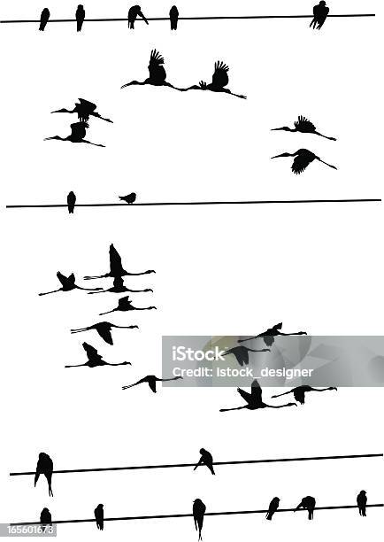 Ilustración de Pájaros En Cables y más Vectores Libres de Derechos de Flamenco - Ave de agua dulce - Flamenco - Ave de agua dulce, Volar, Vector