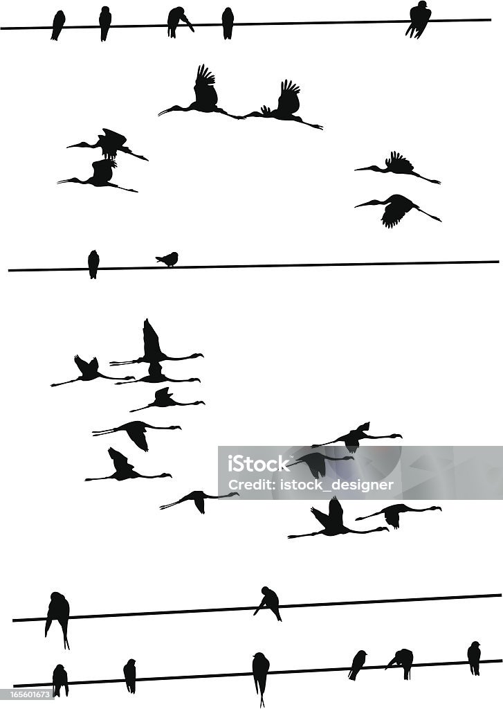 Uccelli sui fili - arte vettoriale royalty-free di Fenicottero