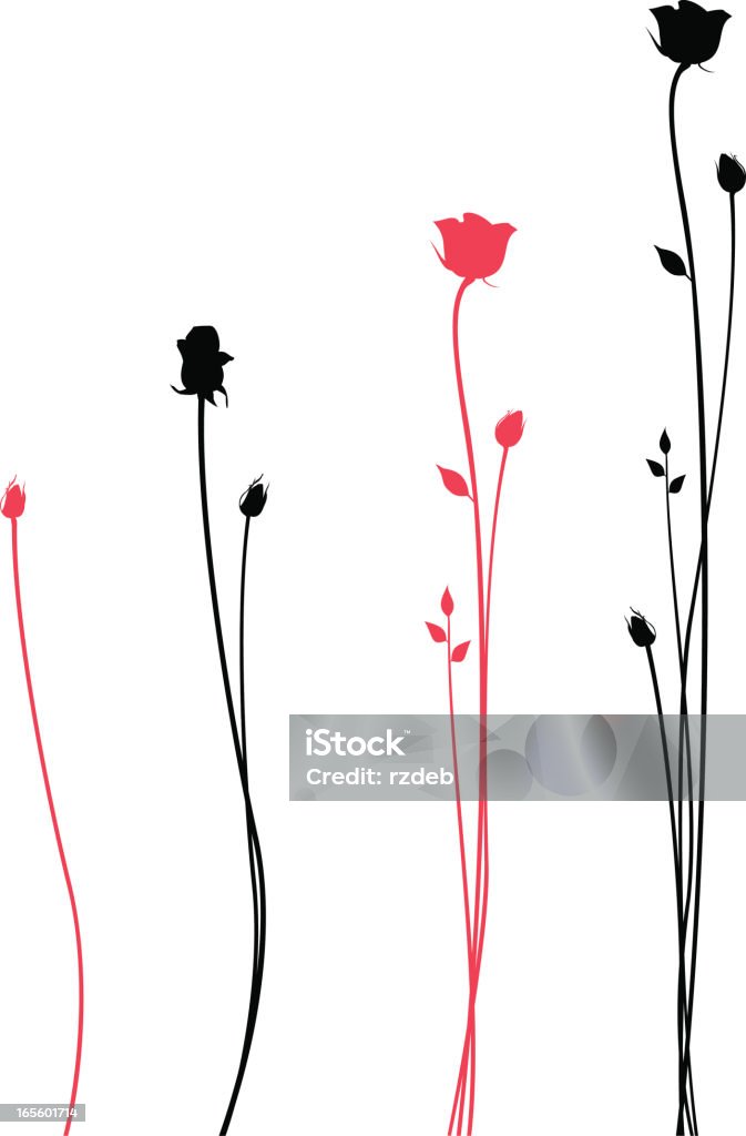 Cuatro rosas-elementos de diseño - arte vectorial de Rosa - Flor libre de derechos