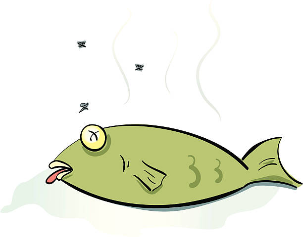 Ilustración de Peces Muertos y más Vectores Libres de Derechos de Pez - Pez, Olor desagradable, Pudrirse - iStock Ilustración de Peces Muertos y más Vectores Libres de Derechos de Pez - Pez, Olor desagradable, Pudrirse - iStock