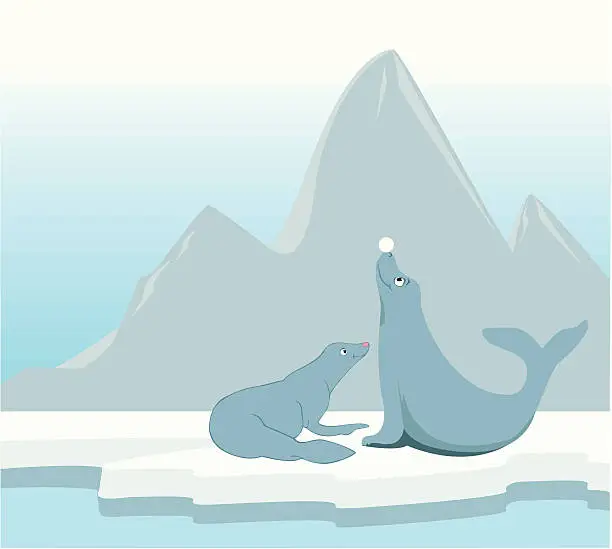 Vector illustration of seals