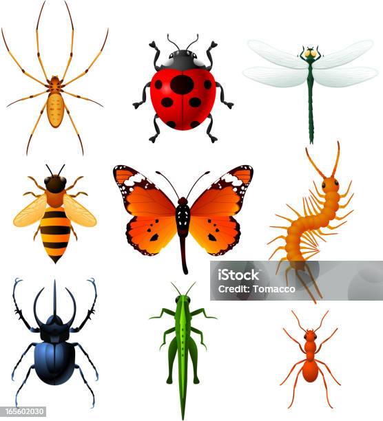 Девять Насекомых Иконки Установить Векторная Иллюстрация Коллекция — стоковая векторная графика и другие изображения на тему Бабочка