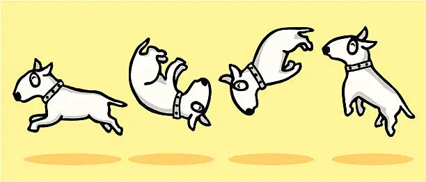 Vector illustration of Bull Terrier jump