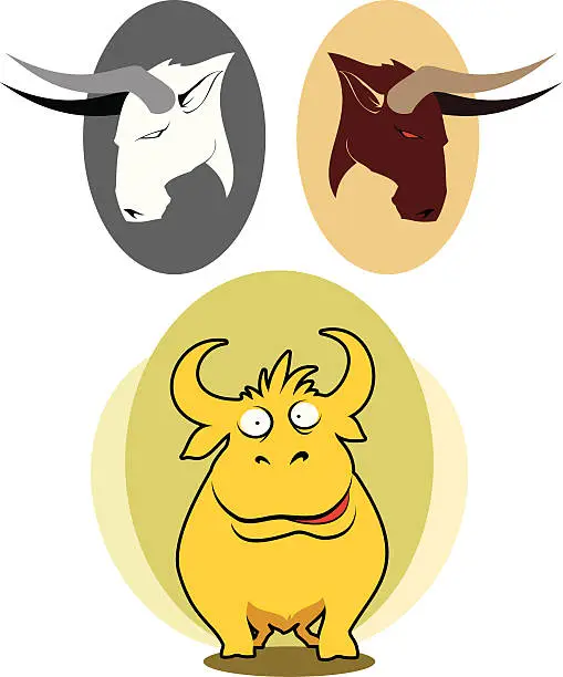 Vector illustration of Bulls