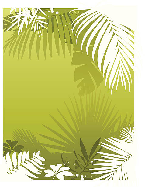 Tropic palm background vector art illustration