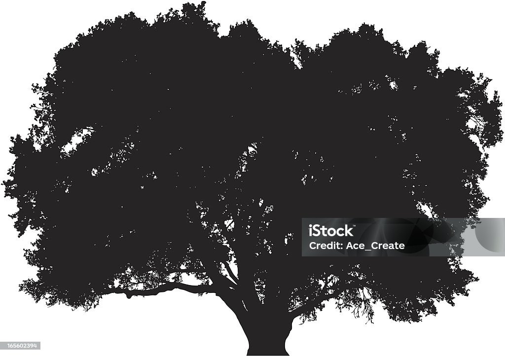 Grande albero di quercia silhouette - arte vettoriale royalty-free di Quercia