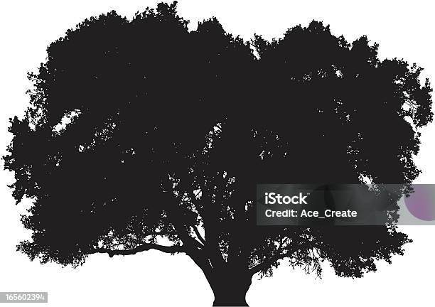 Silhueta Grande Árvore De Carvalho - Arte vetorial de stock e mais imagens de Carvalho - Carvalho, Contorno, Espesso