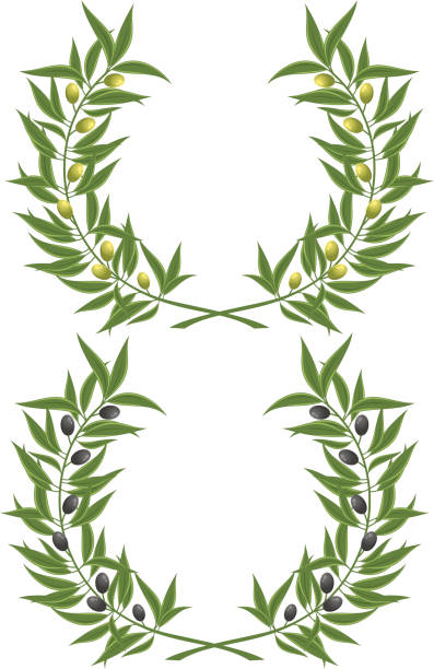 Olive wreath vector art illustration