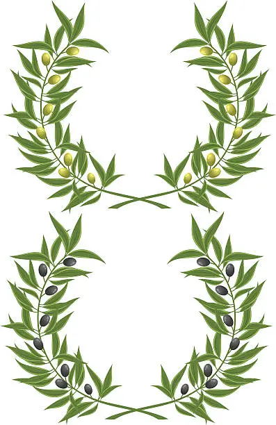 Vector illustration of Olive wreath