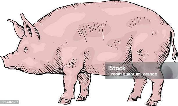 De Cochon Vecteurs libres de droits et plus d'images vectorielles de Porc - Mammifère ongulé - Porc - Mammifère ongulé, Bétail, Cochon domestique