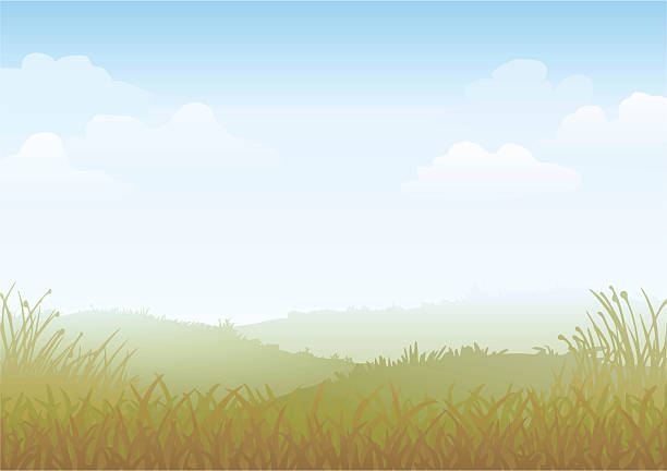 illustrations, cliparts, dessins animés et icônes de misty matin illustration - grass area grass summer horizon