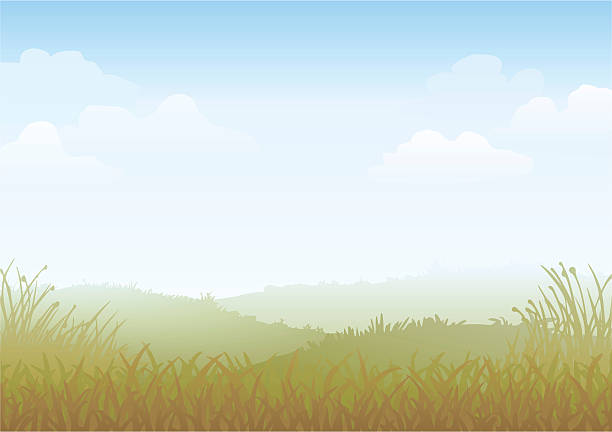 mglisty poranek wektor - grass area grass summer horizon stock illustrations