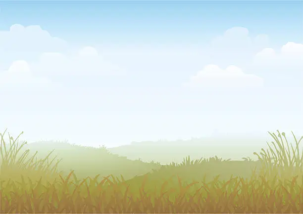 Vector illustration of Misty Morning Vector