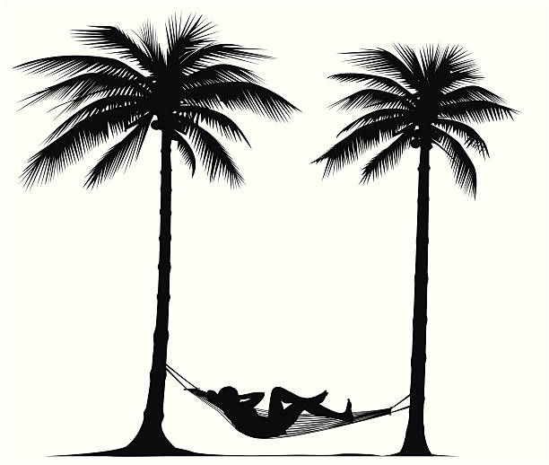 ilustrações de stock, clip art, desenhos animados e ícones de relaxar com árvores de palma-vetor - hammock