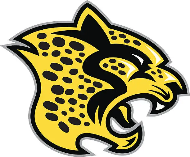 Vector illustration of Cheetah Head