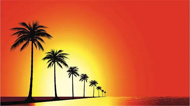 Vector illustration of Beach sunset - VECTOR