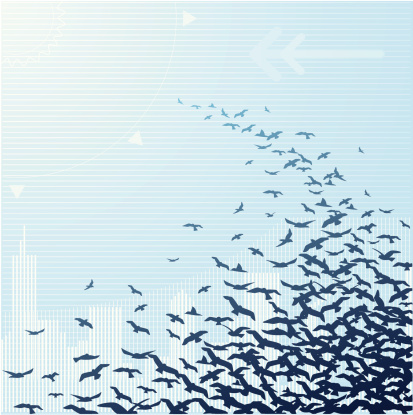 A flock of birds fly through an abstract urban scene. The birds are on a separate layer from the background, so easily used elsewhere. Package includes an AI CS2 file.