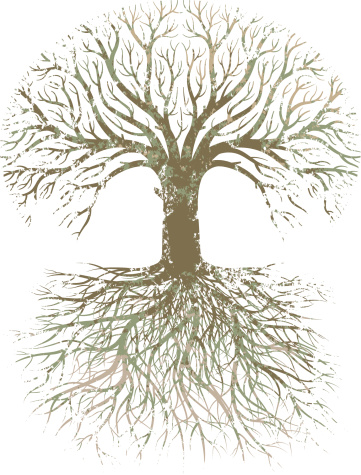 A stylised oak tree and roots with a grunge texture.