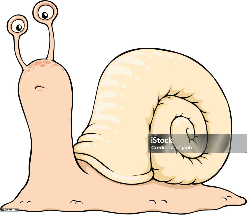 Caracol - arte vectorial de Animal libre de derechos