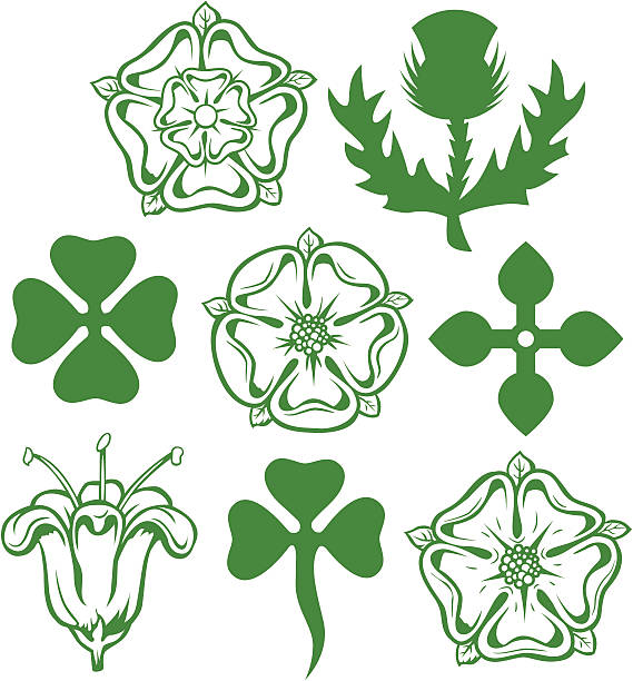ilustraciones, imágenes clip art, dibujos animados e iconos de stock de heraldic flores - english heritage illustrations