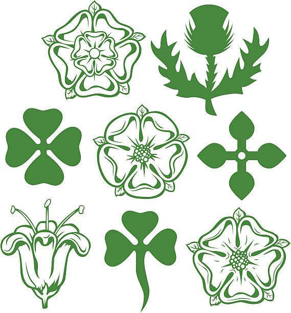 heraldic 꽃 - northern ireland stock illustrations