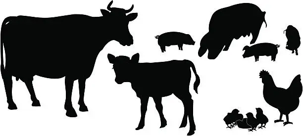 Vector illustration of Animal Family