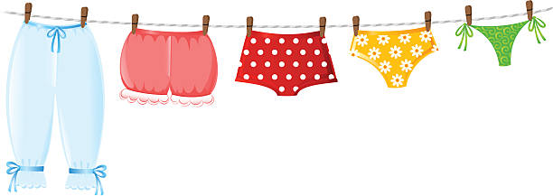 unterwäsche evolution - panties lingerie bloomers laundry stock-grafiken, -clipart, -cartoons und -symbole