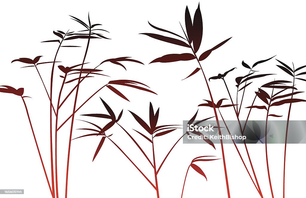 Planta de Bambu - Royalty-free Arbusto tropical arte vetorial