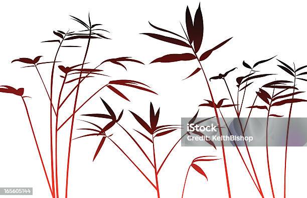 Бамбук Растение — стоковая векторная графика и другие изображения на тему Азиатская культура - Азиатская культура, Бамбук, Без людей