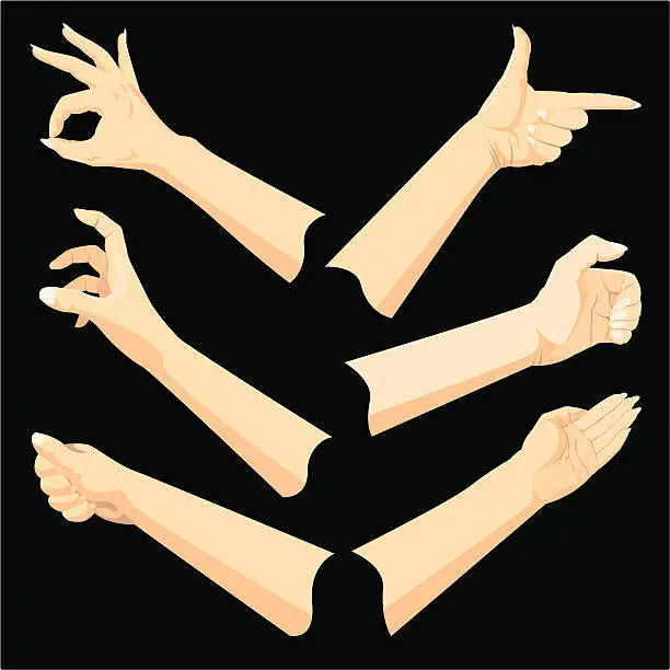Vector illustration of Hand Gestures