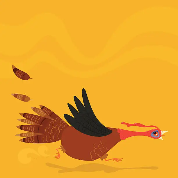 Vector illustration of Poor running turkey